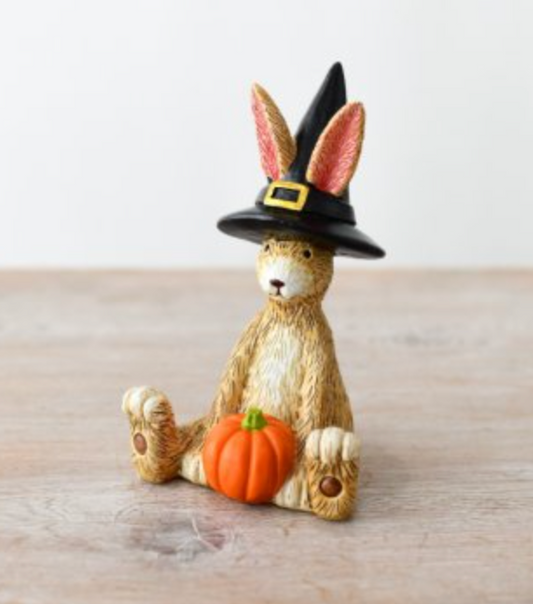 Halloween Witch Hat Rabbit
