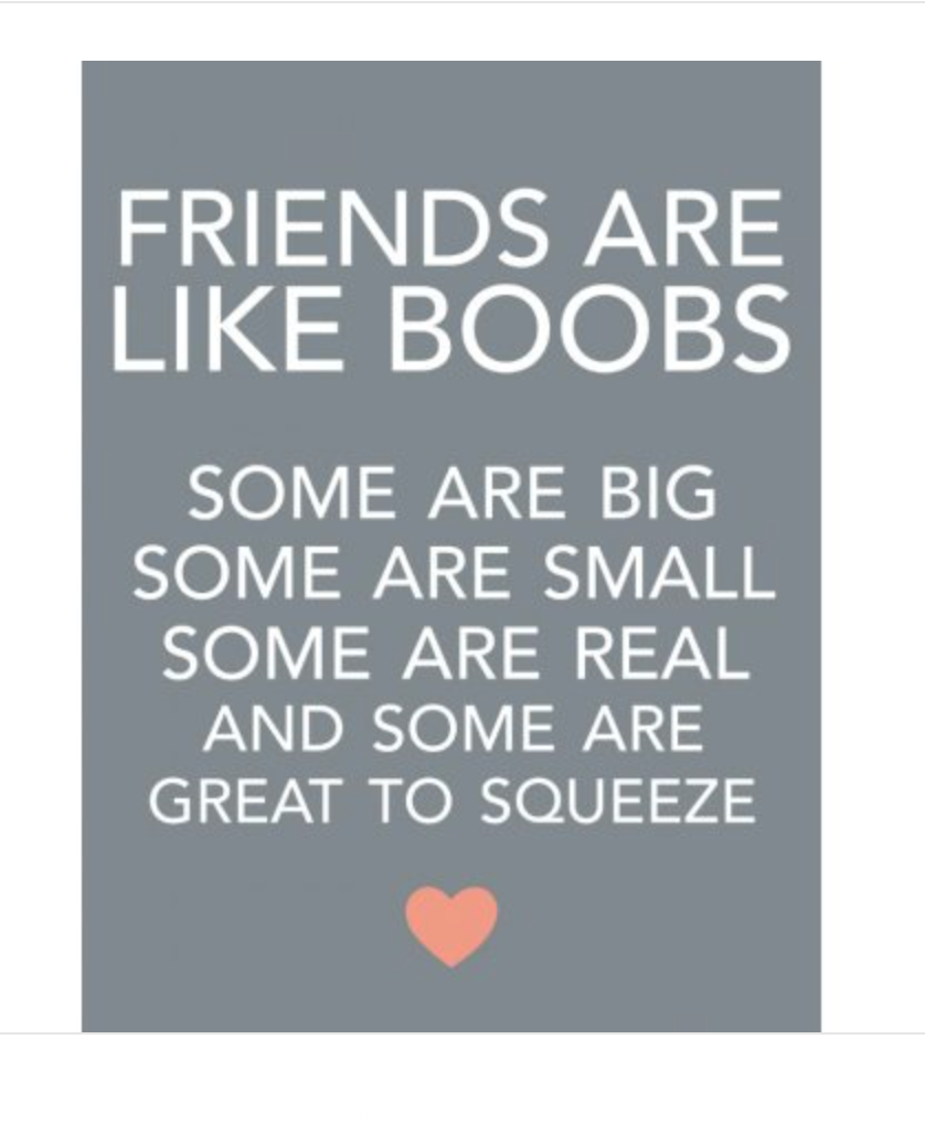 Friends Like Boobs Mini Metal Sign, 9cm