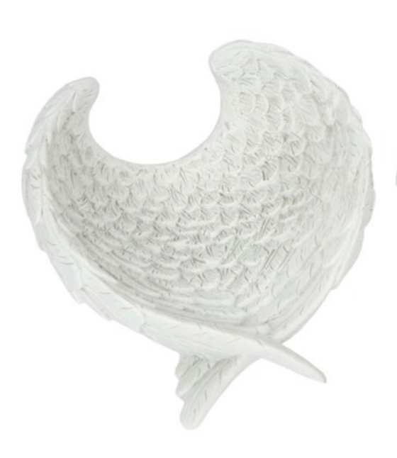 ANGEL WING DISH (6551040524359)