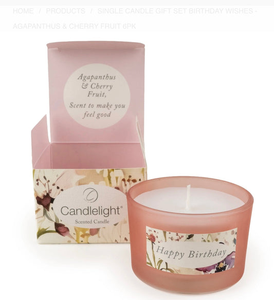 Single Candle Gift Set Birthday Wishes - Agapanthus & Cherry Fruit