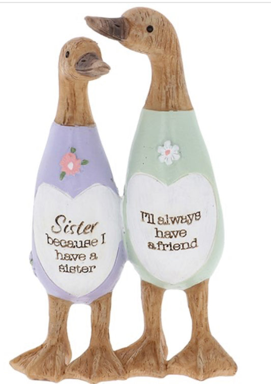 Daisy Message Duck Sister Pair