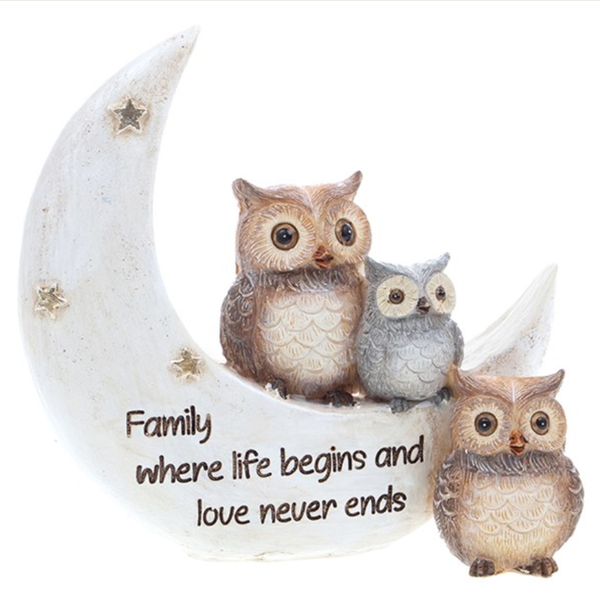 Family Where Life Begins Owl & Moon
