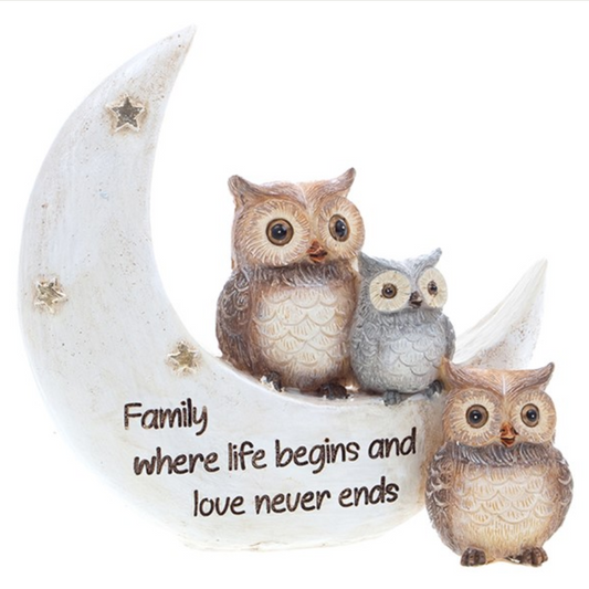 Family Where Life Begins Owl & Moon