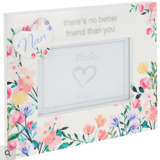Nan Theres No Better Friend Than you Frame 6x4