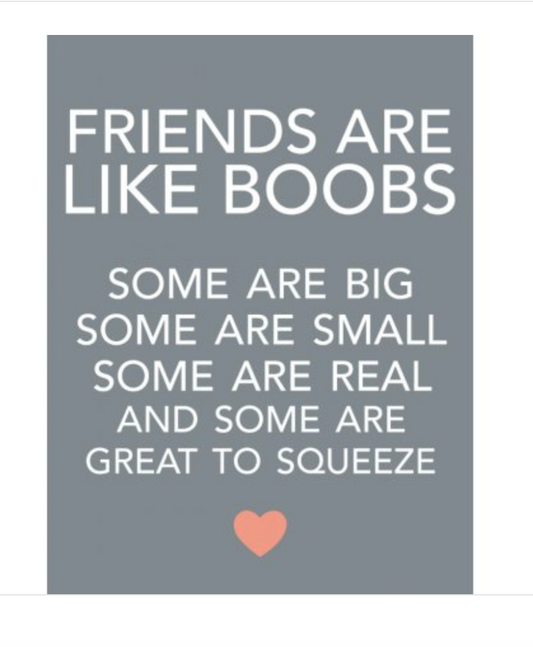 Friends Like Boobs Mini Metal Sign, 9cm
