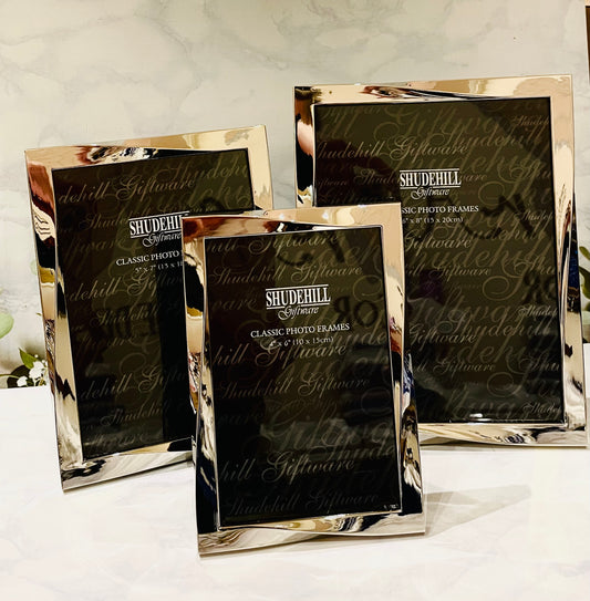 Polished Silver Twist Frame 2 Assorted (1637499404359)